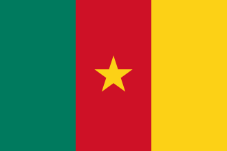 Cameroonian flag